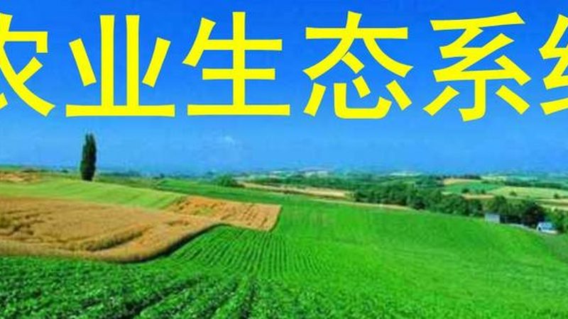 农业种植技术培训：证书，你的专业通行证
