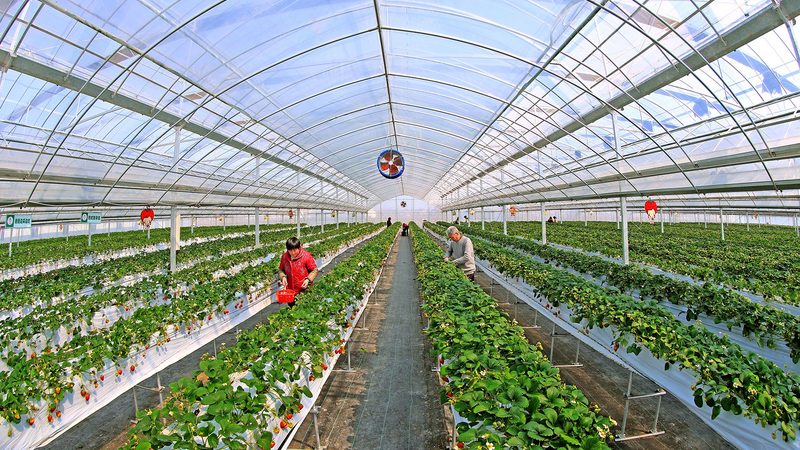 农业产业园规划：功能分区方法全解析