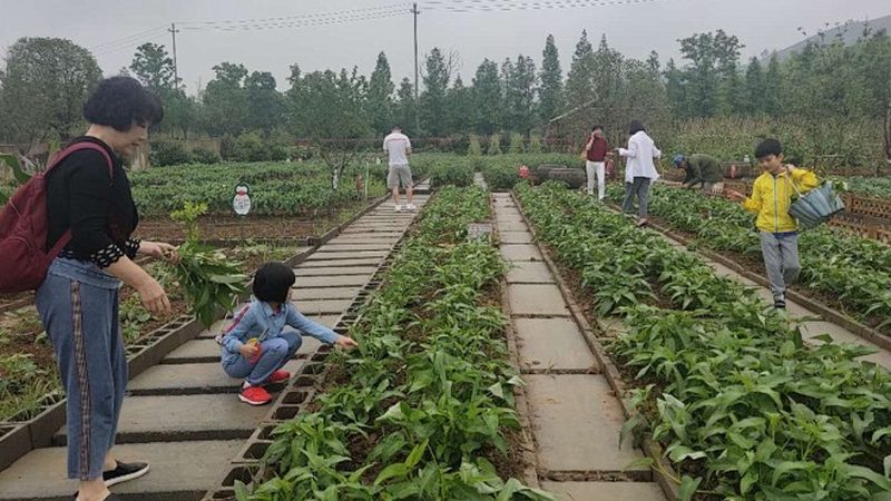 农产品配送平台：构建高效流通的桥梁