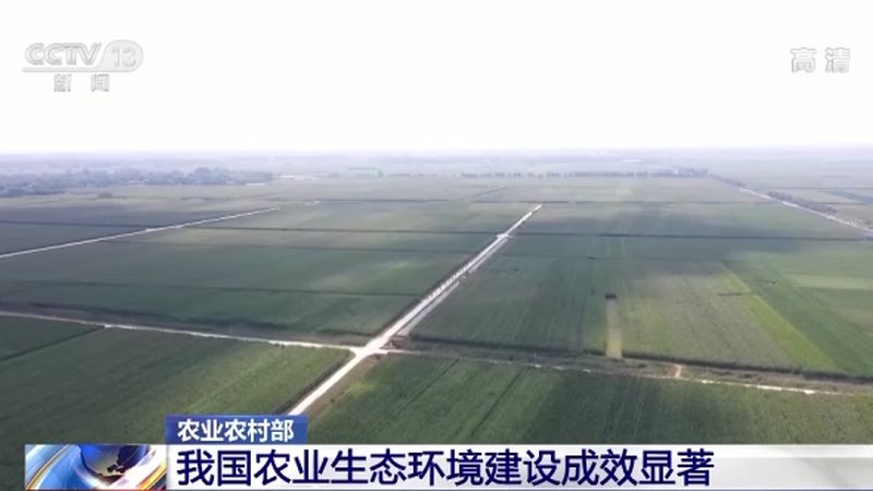 亲子农场喂动物体验：如何为孩子打造一场难忘的自然之旅