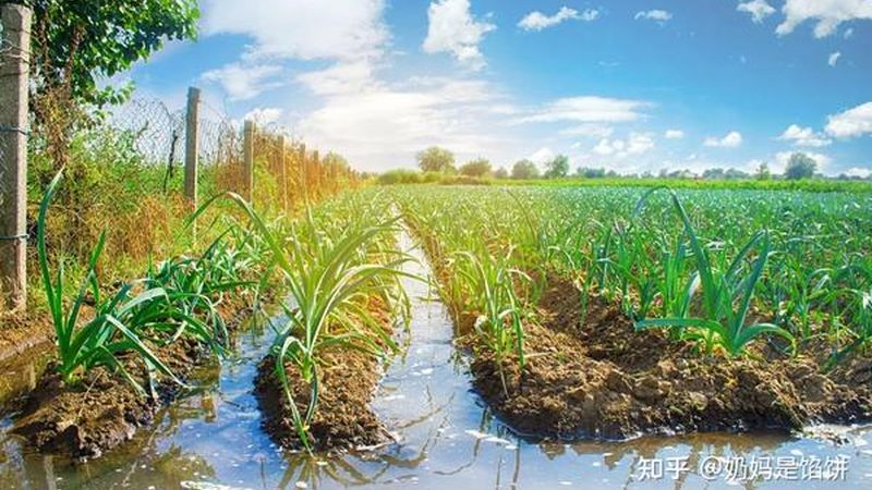 智慧农业解决方案：如何精准匹配您的需求