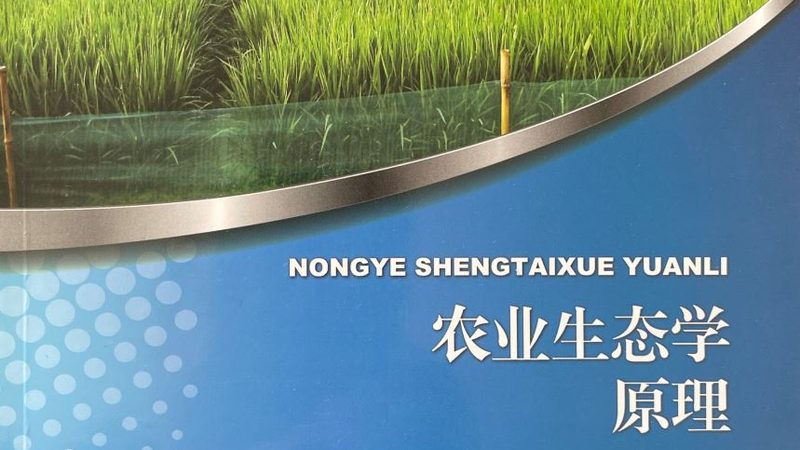 果树种植：关键步骤与注意事项**