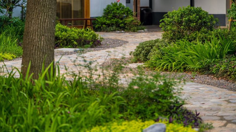 农业种植加盟：政策扶持下的新机遇**