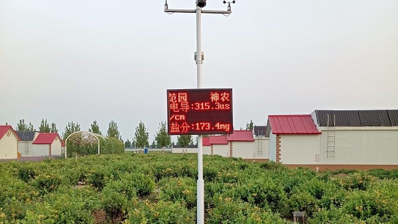 有机蔬菜生产许可证办理：合规之路，从了解标准开始**