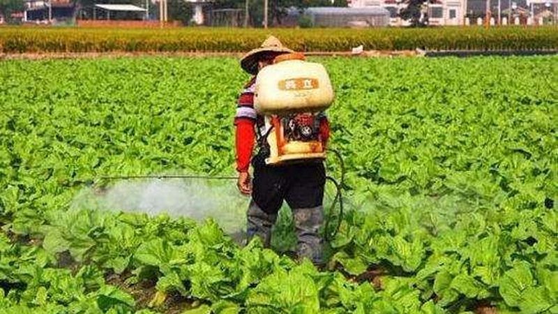 农民专业合作社注销，流程详解与注意事项