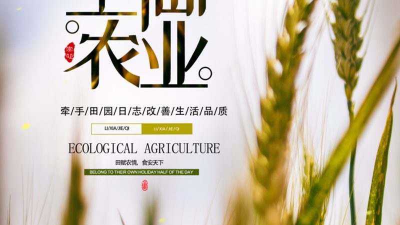定制无土农业种植设备：流程揭秘与关键要素
